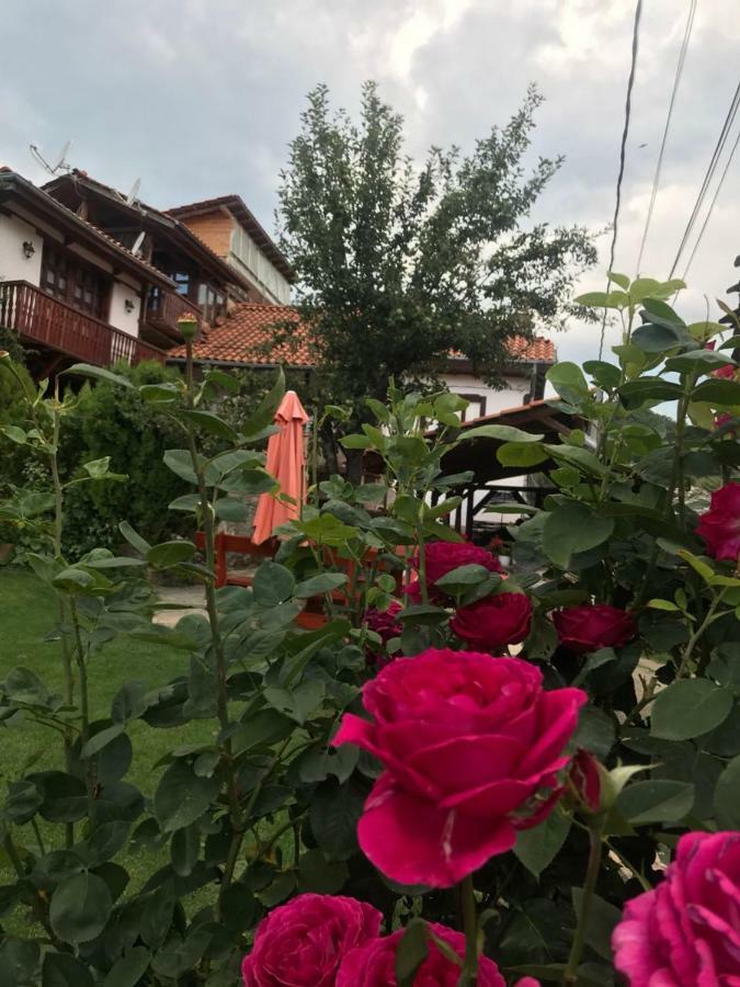 Sharkov Guest House Dolen  Экстерьер фото